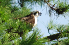 IMGP3846