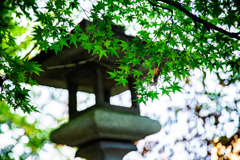 Green2