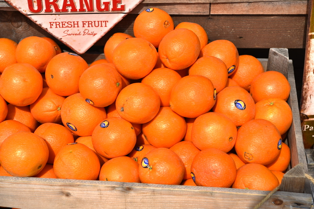 BD305EF7-3159-4891-B632-47711FB1E489