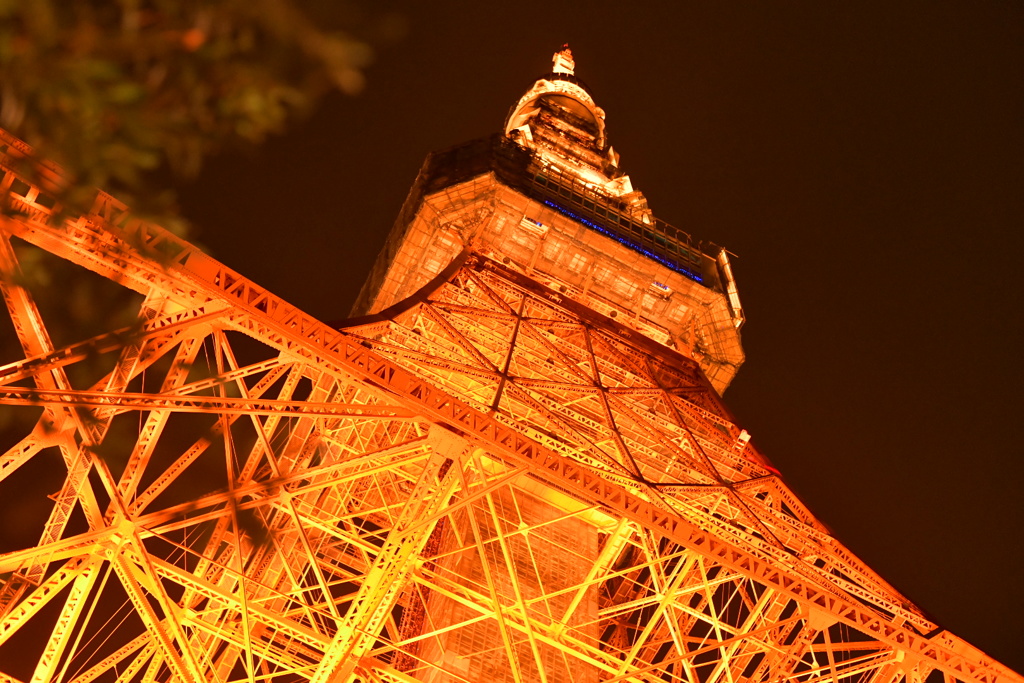 B54D9FEC-781F-428A-A34E-6DE0E9DE5917