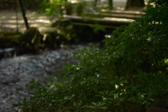 7A416203-EF50-49F8-8AC1-0D7008609647