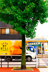 Tha　Hakata