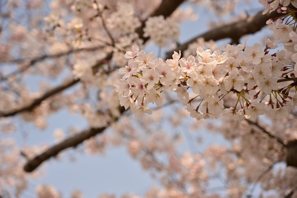 94D415EF-D2A0-4C21-8B4F-9D2BDFA61123