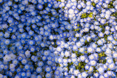 _N1A6394