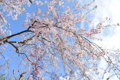 BA055C67-6B9E-4F8F-85A1-82688624C78A