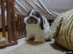 IMGP0479