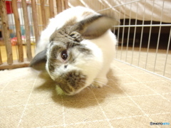 IMGP0831