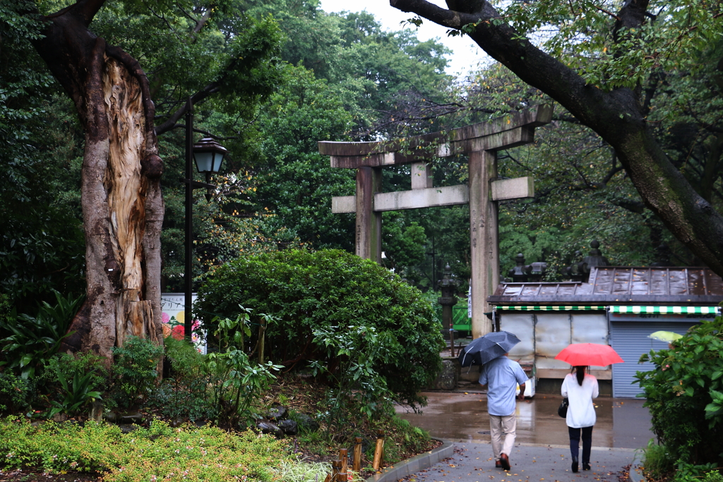上野公園雨・４