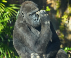 上野動物園・３