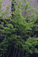 近隣散策ー１８