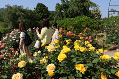 あしかがフラワーパーク（１２）