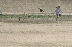 追いかけっこ