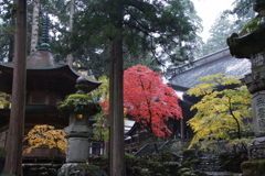 雨の永平寺・９