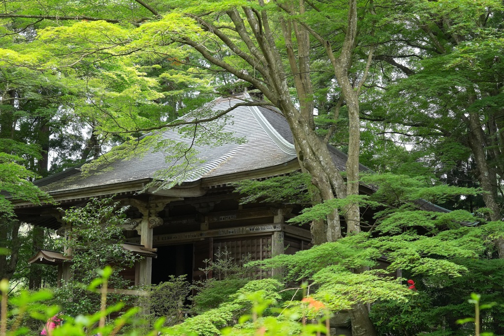 中尊寺