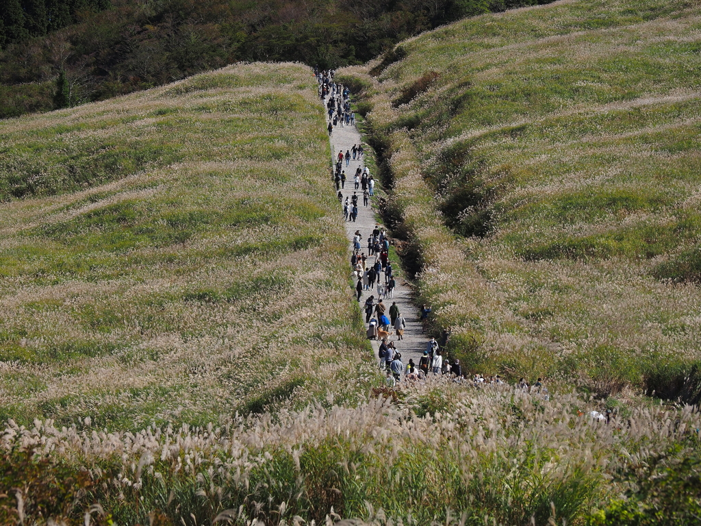 仙石原・３