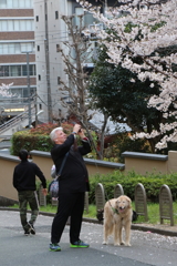 東京タワー・１