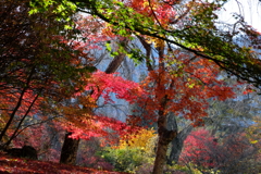 河口湖・３
