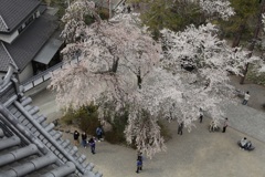 白石城・３