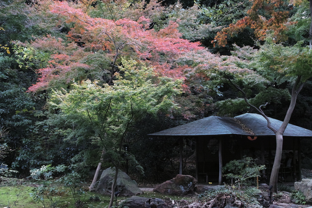 六義園・３