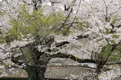 三春町・１