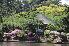 横浜三渓園－１