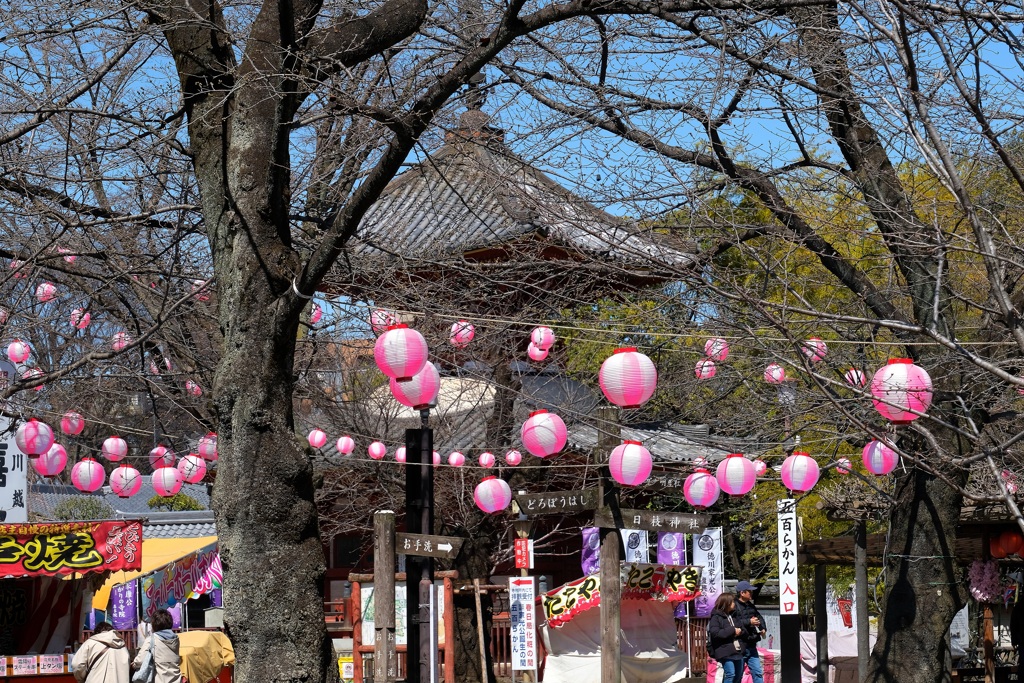 喜多院・２