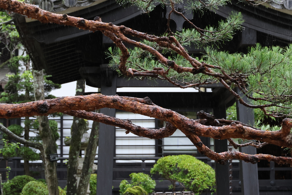 仙台輪王寺・３