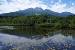 いもり池・１