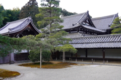 泉涌寺・２