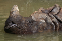多摩動物公園ー３