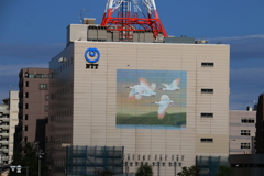 新潟市萬代橋周辺ー２