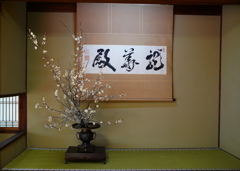 雲龍院・１
