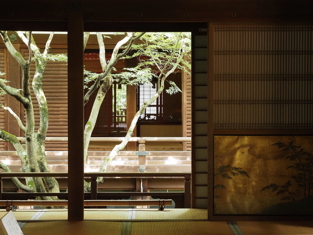 青蓮院・１