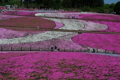 羊山公園・１