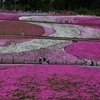 羊山公園・１