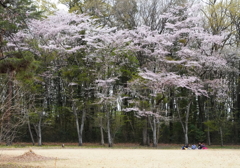 週末の公園・１