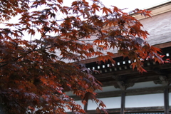 西福寺本堂