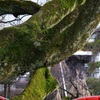 富山城址公園・２