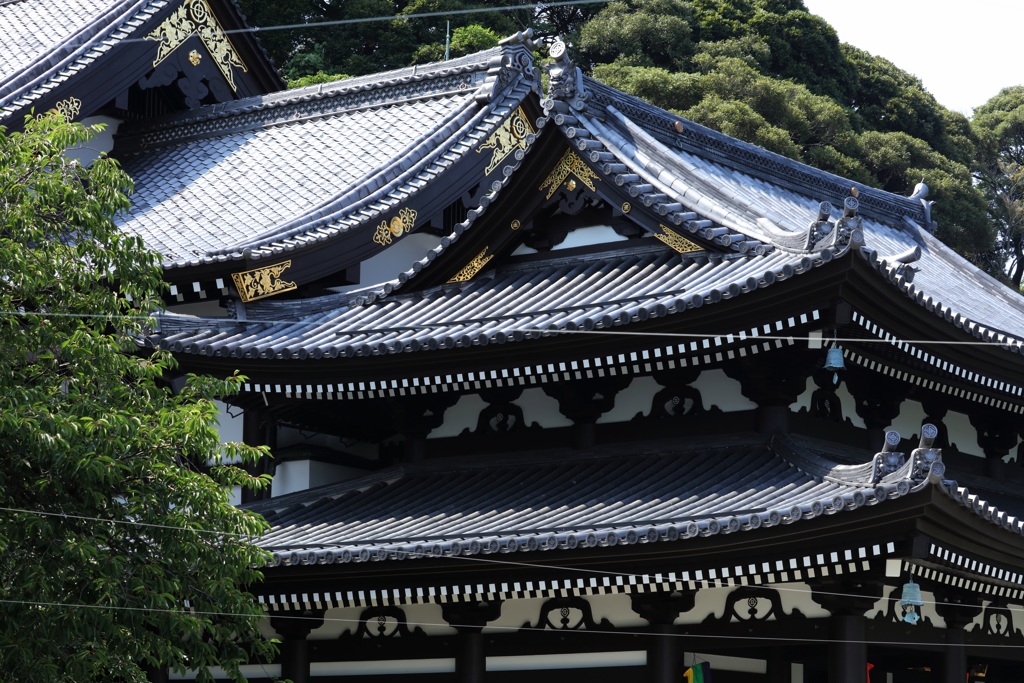 鎌倉長谷寺ー２