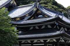 鎌倉長谷寺ー２