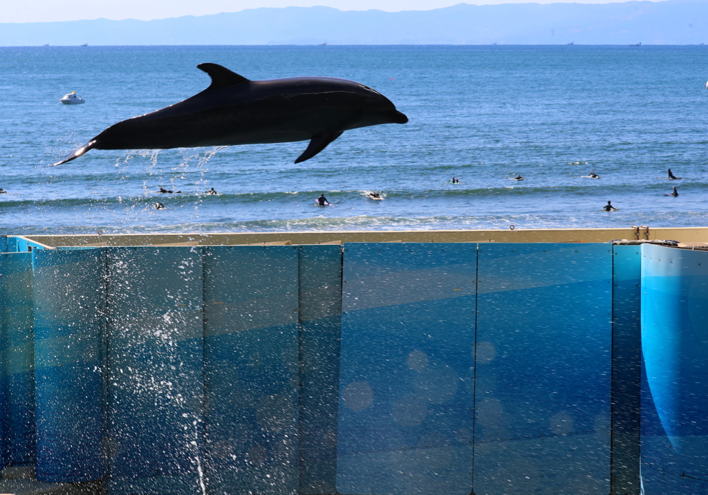 新江ノ島水族館