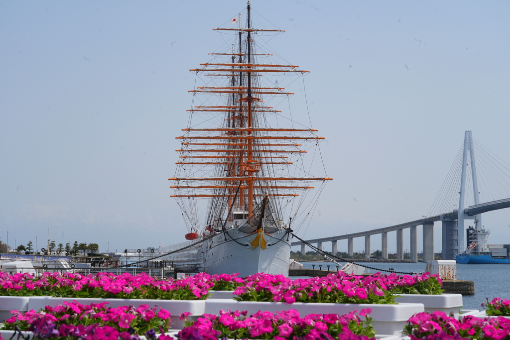 海王丸パーク