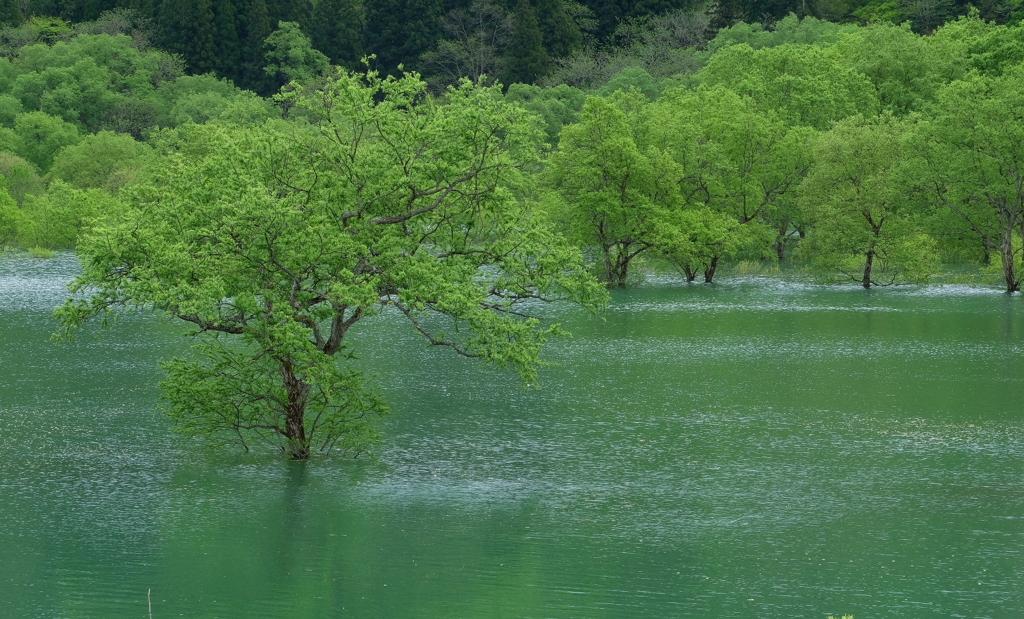 水没琳・２