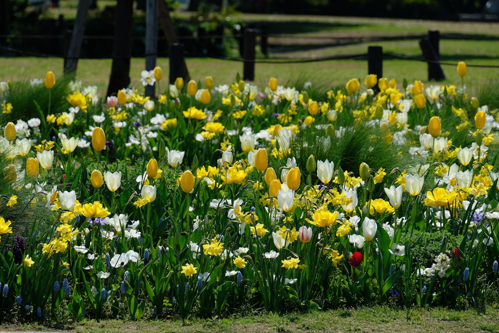 山下公園・３