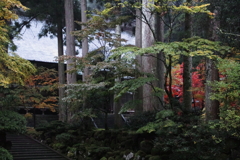 雨の永平寺・３