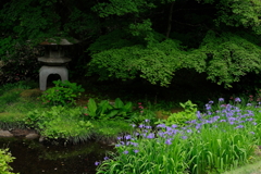 田母沢御用邸記念公園・３