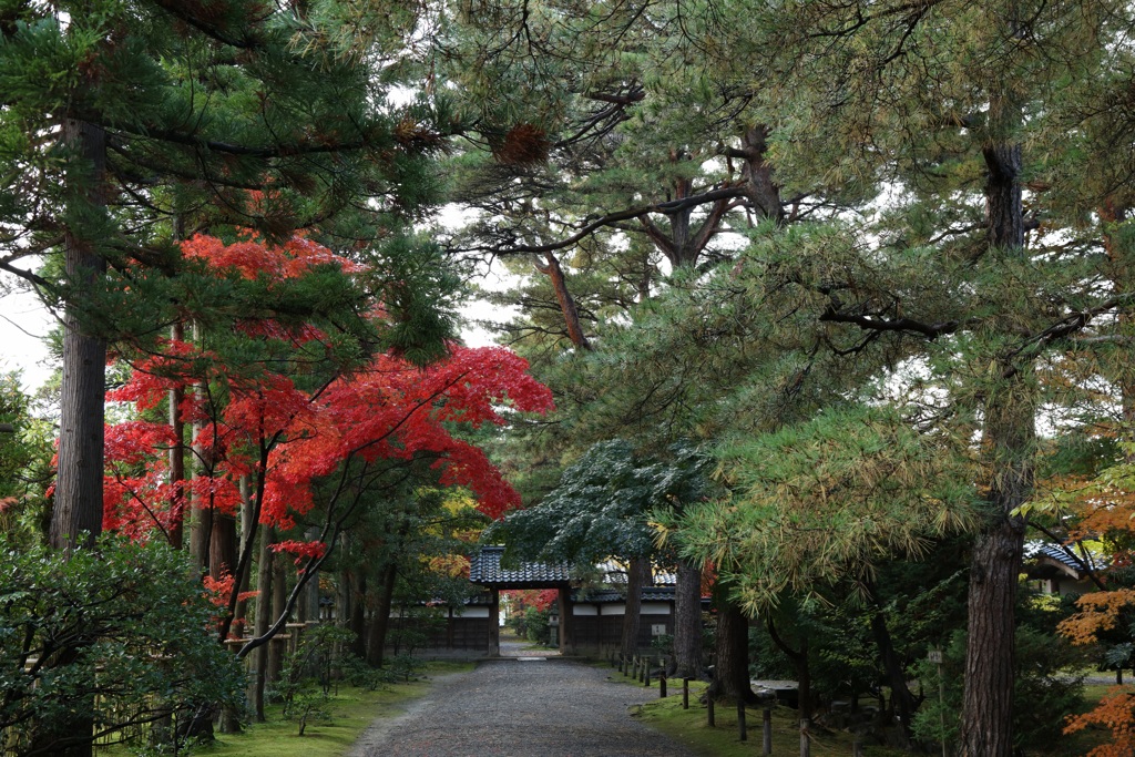 新発田市清水園ー２
