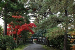 新発田市清水園ー２