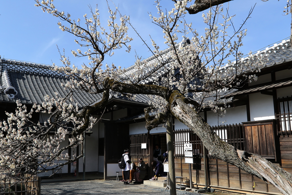 水戸弘道館・１
