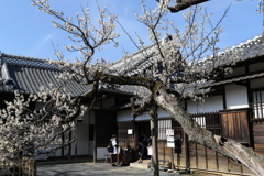 水戸弘道館・１